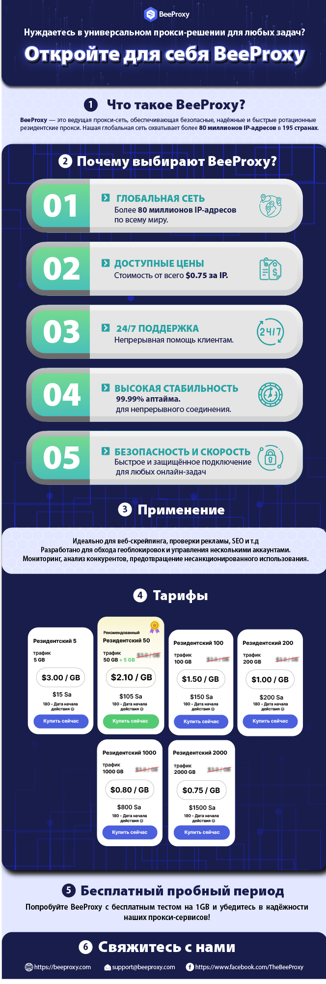 Infographic BeeProxy russia.jpg